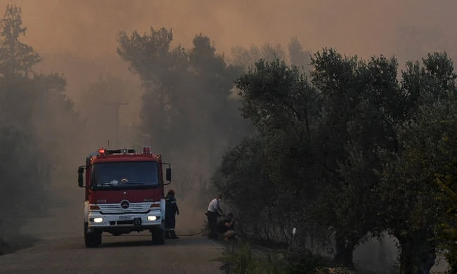 Φωτιά τώρα: «Μάχη» με τις φλόγες σε Αχαΐα, Ηλεία και Αιτωλοακαρνανία